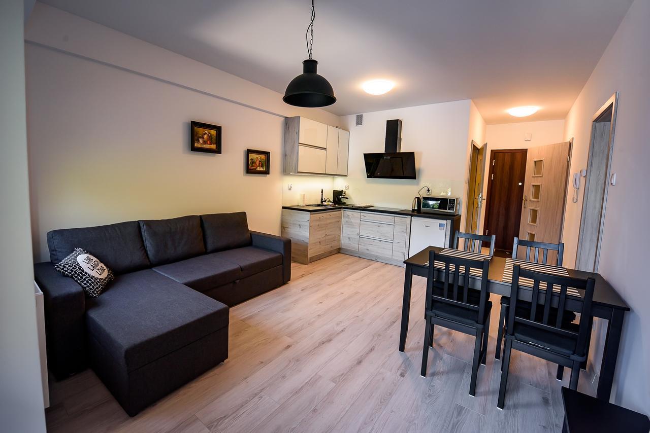 Apartamenty Sun&Snow Zielona Krynica-Zdrój Exterior foto